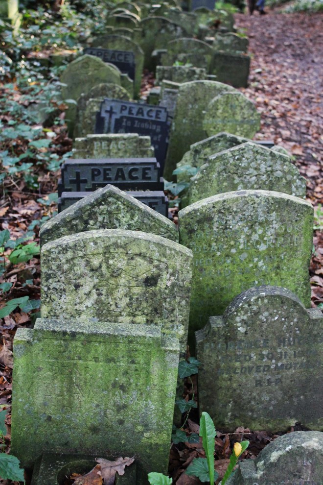 This was Halloween | Abney Park Cemetery, Stoke Newington, London
